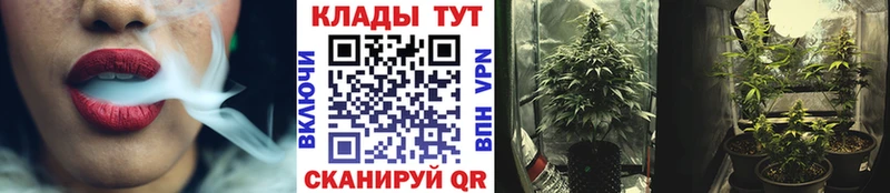 Где купить наркотики Феодосия Конопля  A-PVP  Галлюциногенные грибы  МЕФ 