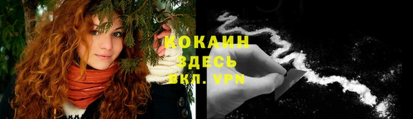 ECSTASY Алзамай