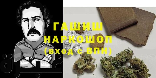ECSTASY Алзамай