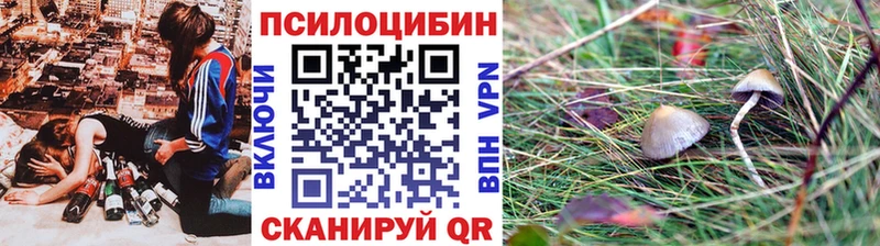 где купить наркоту  Феодосия  Псилоцибиновые грибы Psilocybine cubensis 